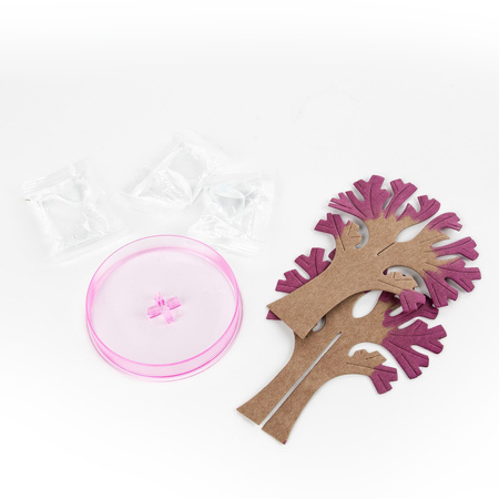 Kwitnące drzewo sakura Kidea