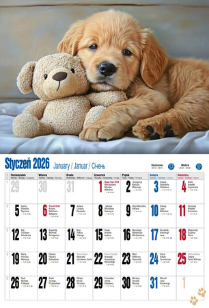 Kalendarz 2026 ścienny albumowy Pieski KSA V1