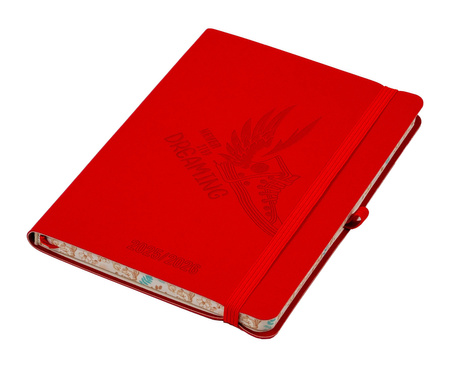 Kalendarz Szkolny 2025/2026 Salsa B6 tygodniowy czerwony but