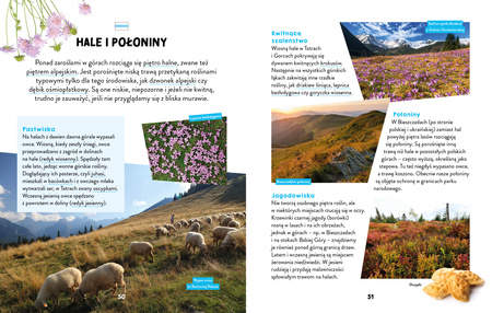 Na szlaku. W górach. Młodzi przyrodnicy