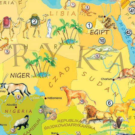 Puzzle 200 Zwierzęta Świata Młodego Odkrywcy