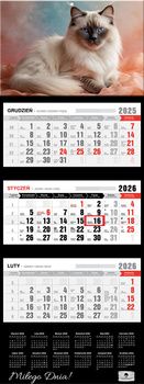 Kalendarz 2026 trójdzielny premium z wypukłą główką Kot KT2 V91