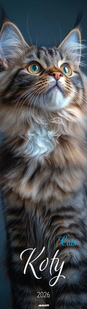 Kalendarz 2026 Koty KP-2