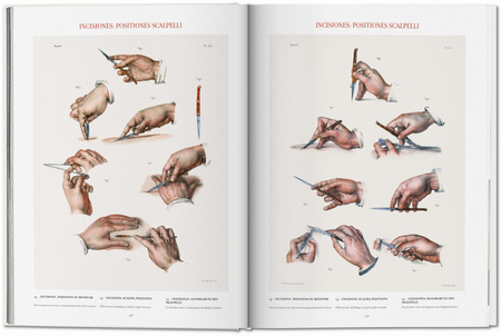 Bourgery. Atlas of Human Anatomy and Surgery wer. angielska