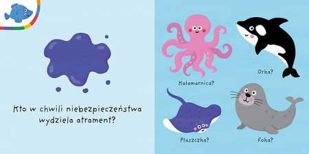 MORZE. Mój kolorowy quiz