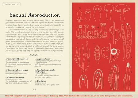 Fungarium (Mini Gift Edition)