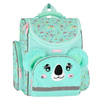 Tornister szkolny Koala