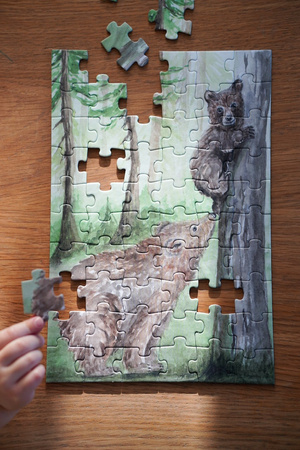 Puzzle 60 Niedźwiedzie