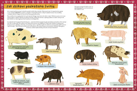 Dzika książka o dzikach i o ich kuzynach