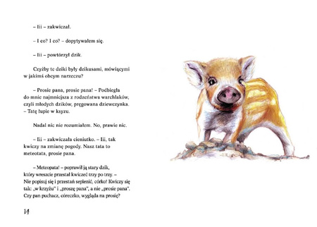 Pogoda dla puchaczy. Lato