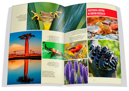 Wyspy marzeń Perły mórz i oceanów album 2024