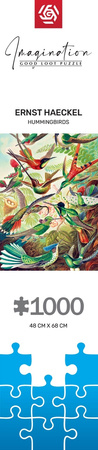 Puzzle 1000 Imagination Ernst Haeckel Hummingbirds Kolibry