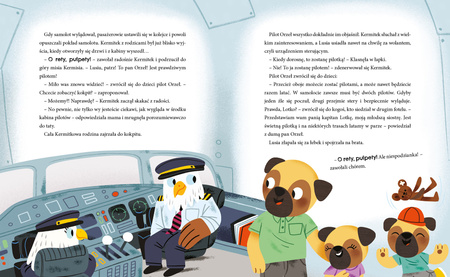 Kermitek i słoneczne przygody. Kermitek