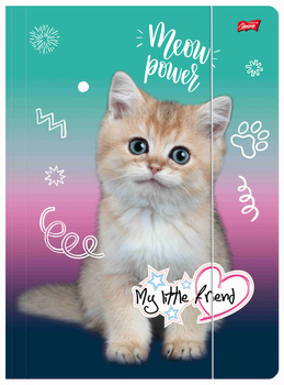 Teczka A4 z gumką My little friend