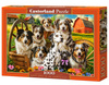 Puzzle 1000 Happy Dogs In The Countryside  C-105410-2