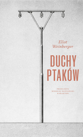 Duchy ptaków