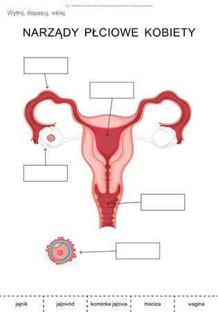 Dojrzewanie Materiały dla uczniów ze specjalnymi potrzebami edukacyjnymi
