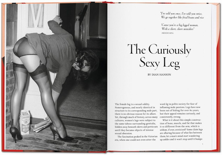 The Little Big Book of Legs wer. angielska