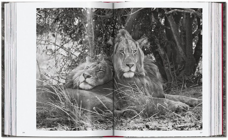 Sebastião Salgado. Genesis wer. angielska