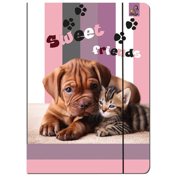 Paczka Teczka A4 z gumką Pies i Kot 5 sztuk