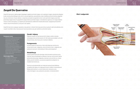 Anatomia urazów sportowych