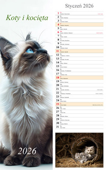 Kalendarz 2026 paskowy Koty