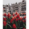 Malowanie po numerach BRUSHME 40x50 cm tulipany Amsterdamu