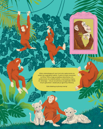 Zdumiewające przyjaźnie