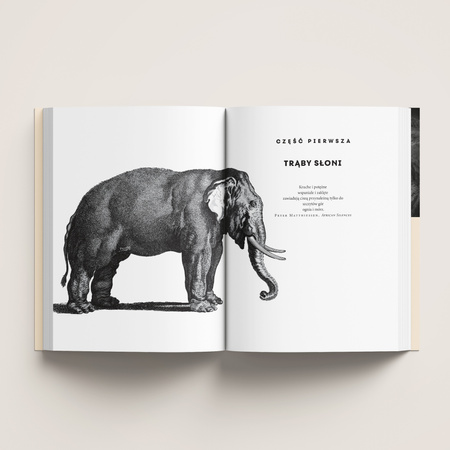 Co myślą i czują zwierzęta