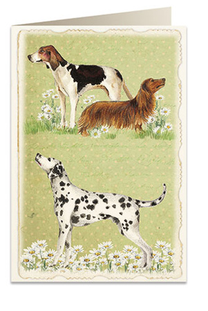 Karnet B6 koperta 5905 Psy