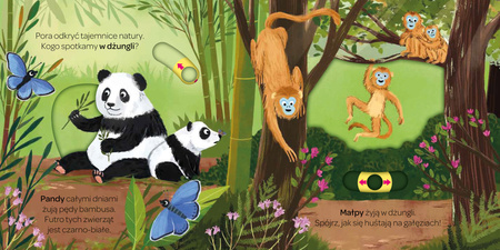 W dżungli. Młodzi przyrodnicy