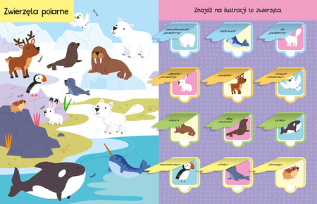 Poznaję zwierzęta. 100 okienek