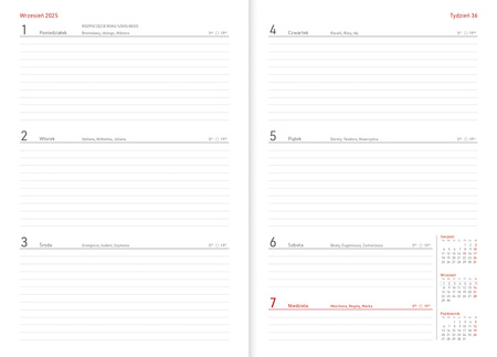 Kalendarz nauczyciela 2025/2026 B5T PCV bezbarwny KOTY
