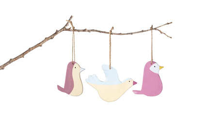 Glina zestaw Ptaki 2701