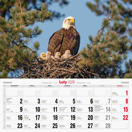 Kalendarz 2026 Przyjaciele KD-19