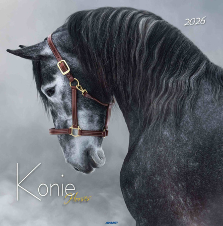 Kalendarz 2026 Konie KD-22