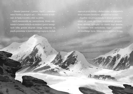 Odnaleźć niedźwiedzia