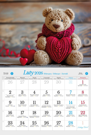 Kalendarz 2026 ścienny albumowy rodzinny KSA V6