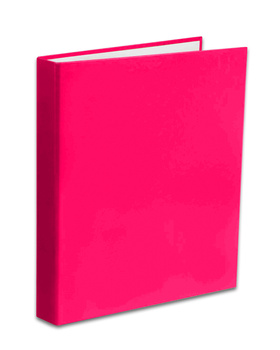 Segregator A4/2R Penmate róż malinowy