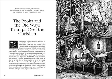 Dark Fairy Tales: Weird, Wicked Stories from Around the World