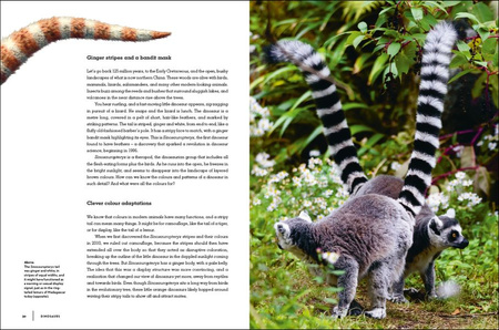 Dinosaurs wer. angielska