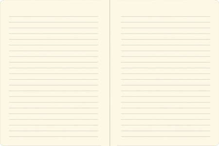 Notatnik Midi Aksolotle Peter Pauper Press