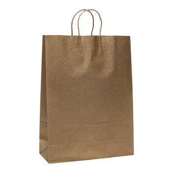 Torebki prezentowe Kraft M-5 12 sztuk