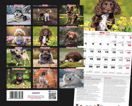 Kalendarz 2026 Psy KAD-10