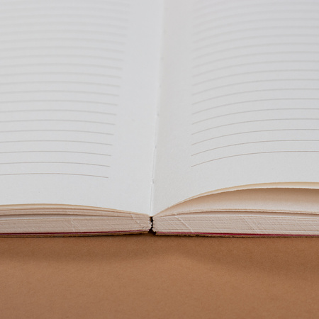 Notes Kwiaty Polskie Cykoria KPL 6