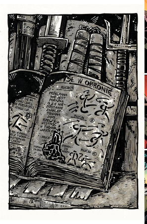 Ostatni Ronin. Nieznane lata. Wojownicze żółwie Ninja