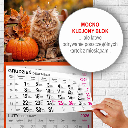 Kalendarz 2026 trójdzielny Kot
