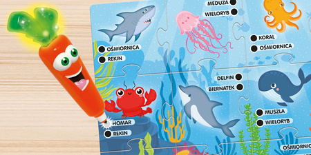 Lisciani Carotina Baw się i ucz 304-PL92666