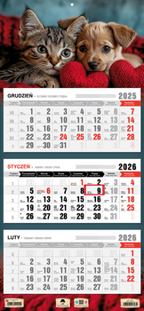 Kalendarz 2026 trójdzielny Przyjaciele KT1 V98
