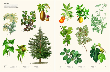 The Secret Language of Plants